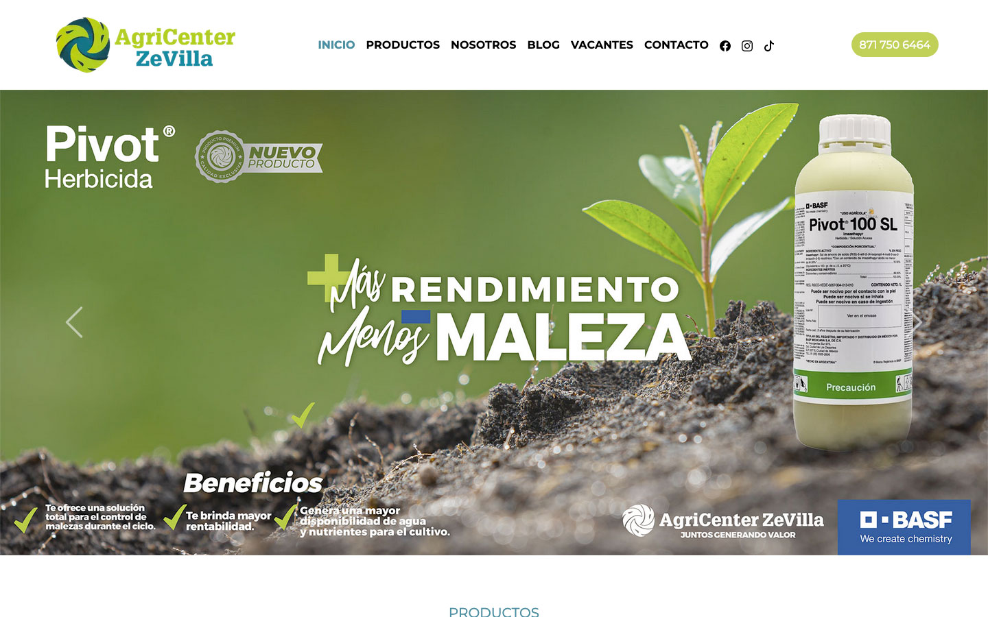 diseño profesional web en torreón